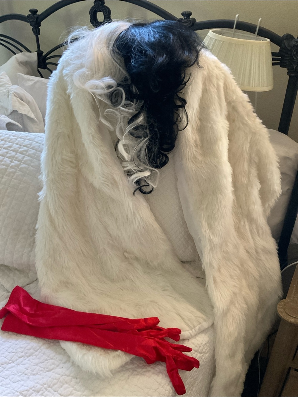HALLOWEEN - Cruella Deville costume